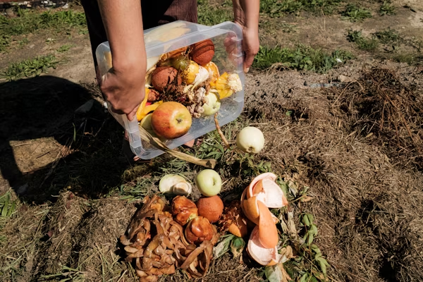 Traditional Composting vs Chewie: Which is Better for Your Home?