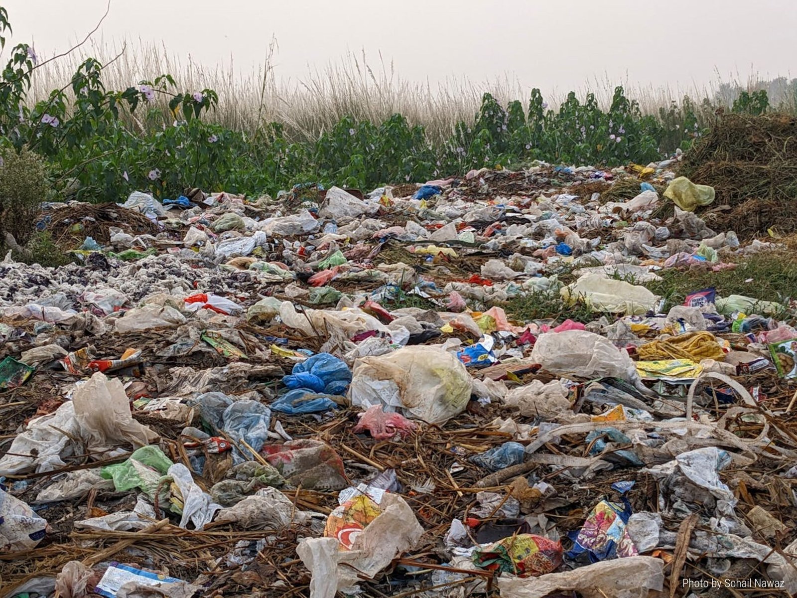 Unseen Damage: Landfills and Soil Pollution