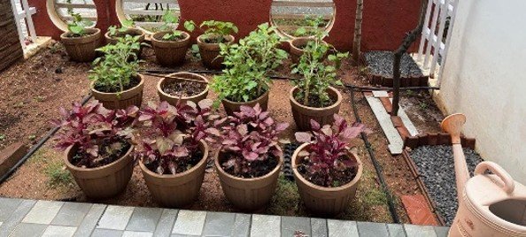 The Bioreactor in the Kitchen